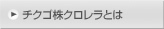 チクゴ株クロレラとは