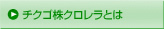 チクゴ株クロレラとは