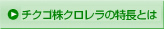 チクゴ株クロレラの特長とは