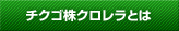 チクゴ株クロレラとは