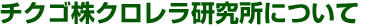 チクゴ株クロレラ研究所について