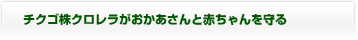 チクゴ株クロレラがおかあさんと赤ちゃんを守る