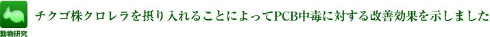 チクゴ株クロレラを摂り入れることによってPCB中毒に対する改善効果を示しました