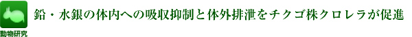 鉛・水銀の体内への吸収抑制と体外排泄をチクゴ株クロレラが促進