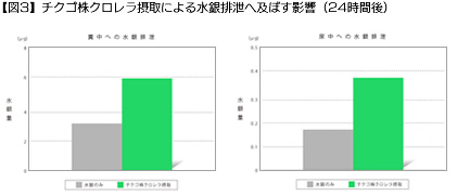 【図2】チクゴ株クロレラ摂取による糞中への鉛排泄に及ぼす影響（24時間後）