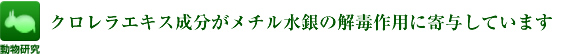 クロレラエキス成分がメチル水銀の解毒作用に寄与しています