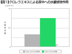 【図1】クロレラエキスによる尿中への水銀排泄作用