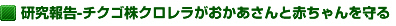 研究報告・チクゴ株クロレラがおかあさんと赤ちゃんを守る