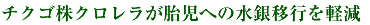 チクゴ株クロレラが胎児への水銀移行を軽減