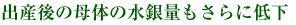 出産後の母体の水銀量もさらに低下