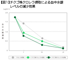 【図1】チクゴ株クロレラ摂取による血中水銀レベルの減少効果