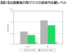 【図4】出産直後の母マウスの成体内水銀レベル