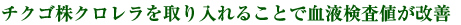 チクゴ株クロレラを取り入れることで血液検査値が改善