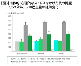 【図3】肉体的・心理的なストレスをかけた後の脾臓リンパ球のINF-γ産生量の経時変化