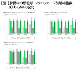 【図1】脾臓中の顆粒球・マクロファージ前駆細胞数（CFU-GM）の変化