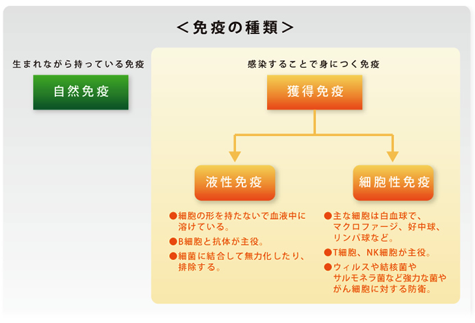 免疫の種類