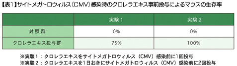 【表1】サイトメガロウィルス（CMV）感染時のクロレラエキス事前投与によるマウスの生存率