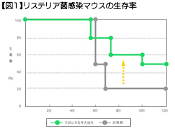 【図1】リステリア菌感染マウスの生存率