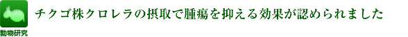 チクゴ株クロレラの摂取で腫瘍を抑える効果が認められました