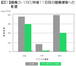 【図1】腫瘍(S-180)移植11日目の腫瘍増殖への影響