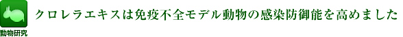 クロレラエキスは免疫不全モデル動物の感染防御能を高めました