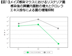 【図1】メイズ感染マウスにおけるリステリア菌感染後の脾臓内菌数の増大とクロレラエキス投与による菌の増殖抑制