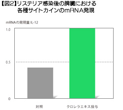 【図2】リステリア感染後の脾臓における各種サイトカインのｍRNA発現