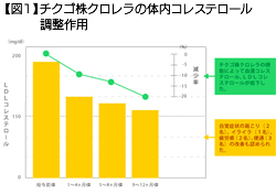 【図1】チクゴ株の体内コレステロール調整作用