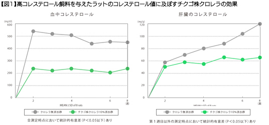 【図1】高コレステロール飼料を与えたラットのコレステロール値に及ぼすチクゴ株クロレラの効果