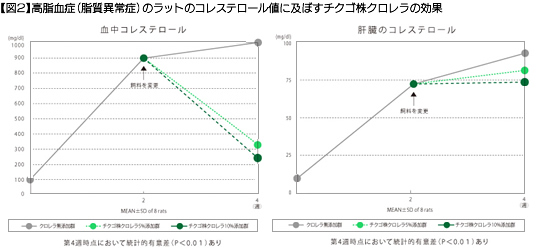 【図2】高脂血症（脂質異常症）のラットのコレステロール値に及ぼすチクゴ株クロレラの効果