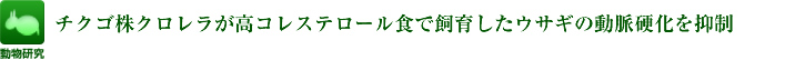 チクゴ株クロレラが高コレステロール食で飼育したウサギの動脈硬化を抑制