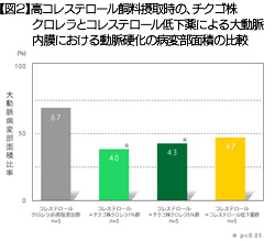 【図2】高コレステロール飼料摂取時の、チクゴ株クロレラとコレステロール低下薬による大動脈内膜における動脈硬化の病変部面積の比較