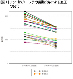 【図1】チクゴ株クロレラの長期投与による血圧の変化