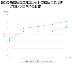 【図2】高血圧自然発症ラットの血圧に及ぼすクロレラエキスの影響