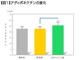 【図1】アディポネクチンの変化