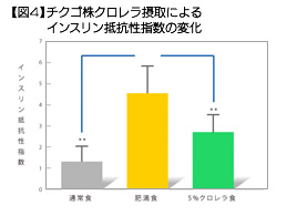 【図4】チクゴ株クロレラ摂取によるインスリン抵抗性指数の変化