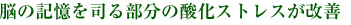 脳の記憶を司る部分の酸化ストレスが改善