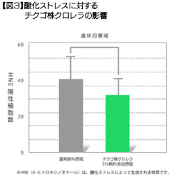 【図3】チクゴ株クロレラ導入前後によるヘマトクリットの変化