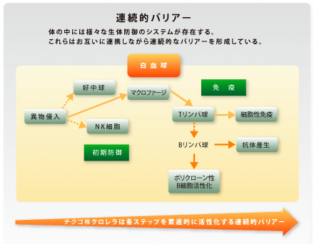 連続的バリアー