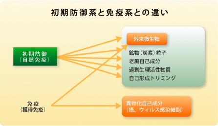 初期防御系と免疫系の違い