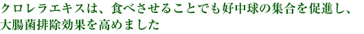 クロレラエキスは、食べさせることでも好中球の集合を促進し、大腸菌排除効果を高めました