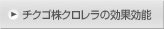 チクゴ株クロレラの効果効能