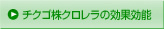 チクゴ株クロレラの効果効能