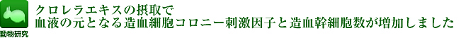 クロレラエキスの摂取で血液の元となる造血細胞コロニー刺激因子と造血幹細胞数が増加しました