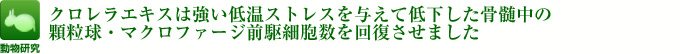 クロレラエキスは強い低温ストレスを与えて低下した骨髄中の顆粒球・マクロファージ前駆細胞数を回復させました。